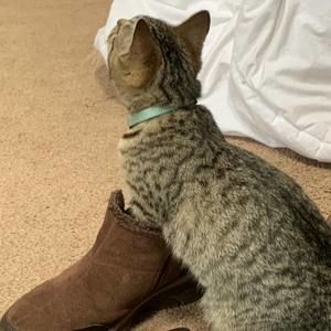 Meet your Posher, Taylor